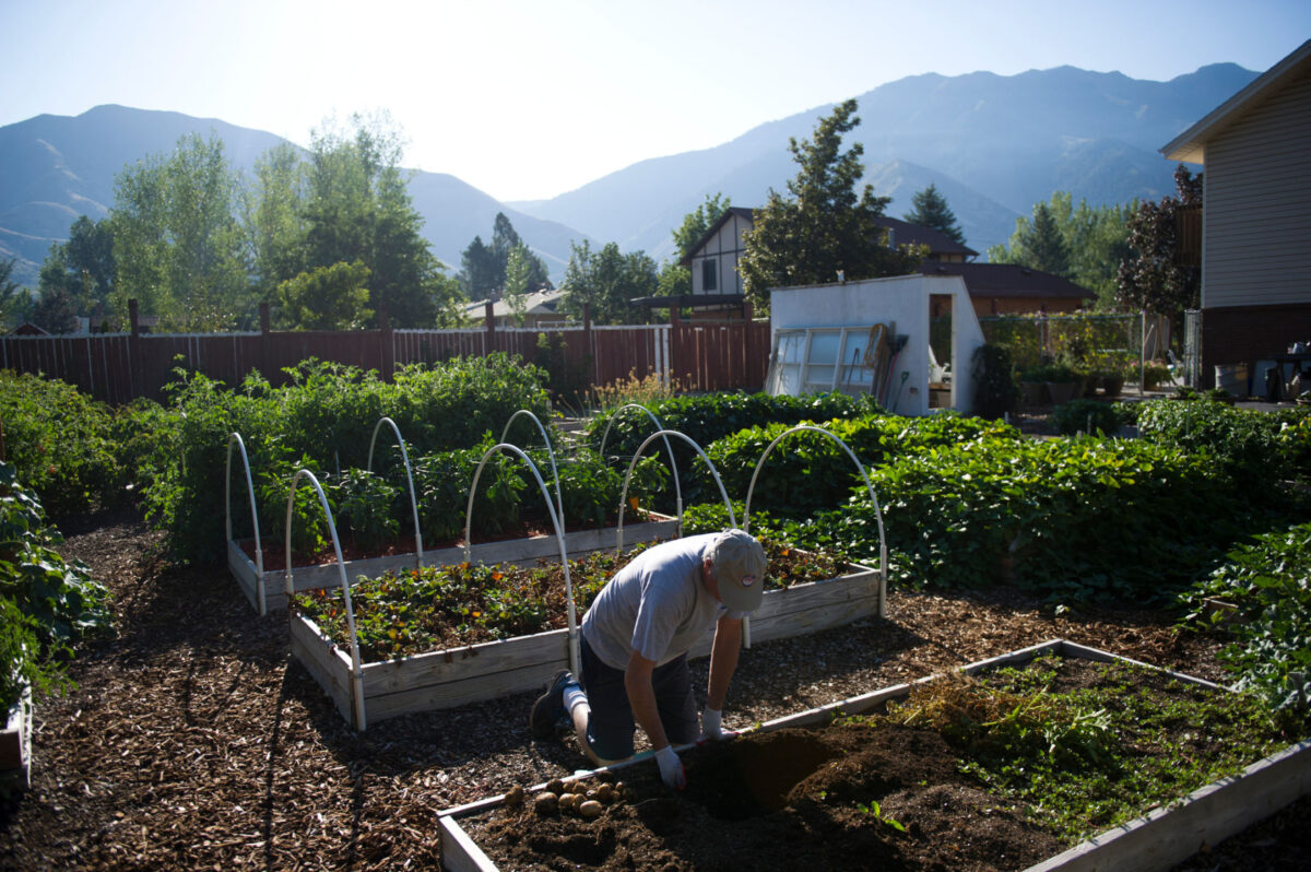 Locals show off skills at Mapleton Parade of Gardens News, Sports